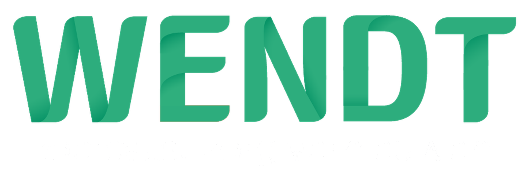 WENDT — koersvast zorg vernieuwen